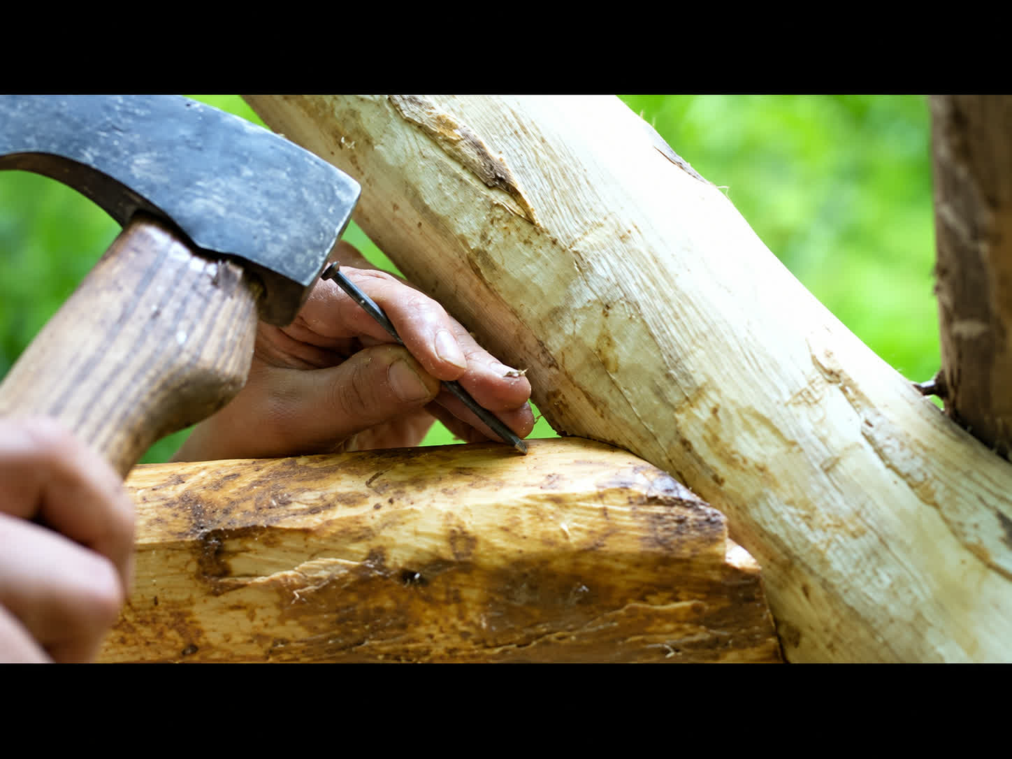 Beautiful Girl Builds a House in the Wild The Stunning
