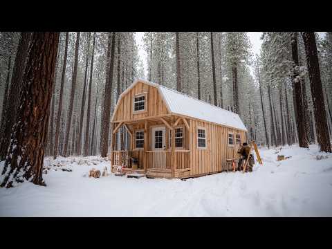 A Young Couple Built This Tiny Cabin Themselves The Result