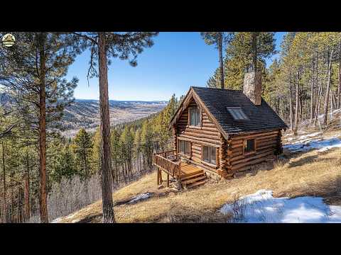 How One Man Built a Stunning Wooden Cabin in the Wild