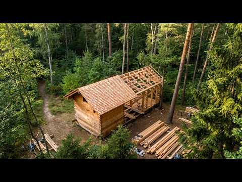 Building a Wooden Cabin by Hand in Nature Stunning Final