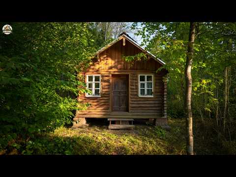 Watch how raw logs turned into a breathtaking forest home