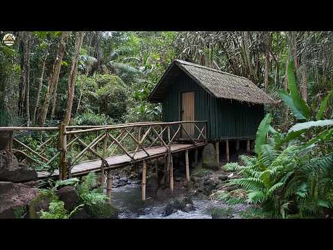 Alone in the Wild Watch Him Build a Stunning Off Grid