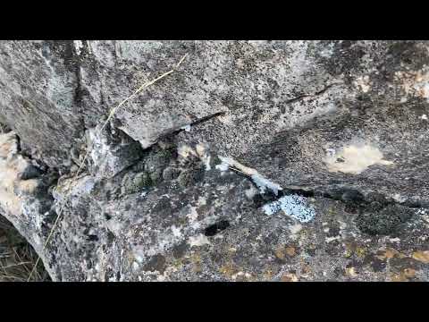 KAYADAKİ KAPAĞI GÖRÜNCE ŞOK OLACAKSINIZ