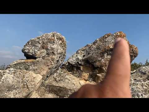 TAVUK DEFİNE İŞARETİNİN ALTINDAKİ KASA BEN BURDAYIM DİYOR
