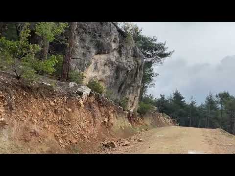 BU TUZAKLAR NEDEN KURULMUŞ ORMADA KEŞFETTIM