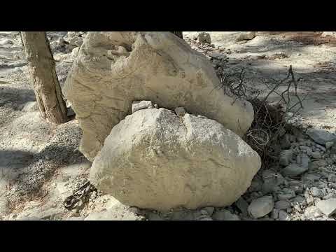 ORMANIN DERİNLİĞİNDEKİ ESKİ İZLER