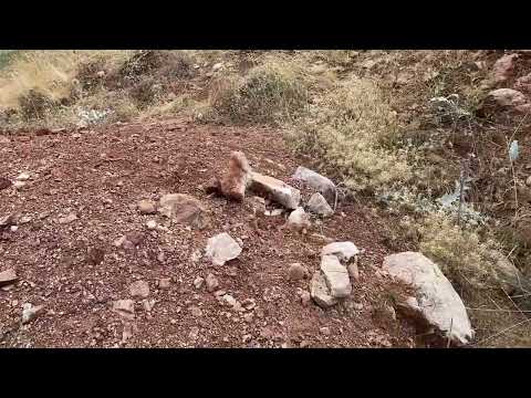 DELİKLİ TAŞ DEFİNE İŞARETTİ