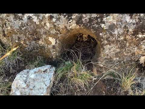 KAYANIN GÖZÜ