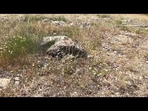 Yeşil Tepe Tarihi Sırlarlan Dolu