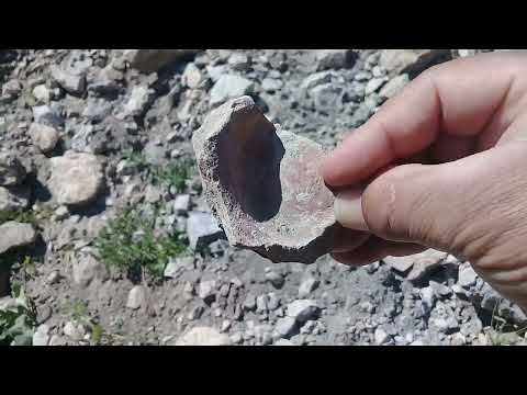 Kayada İşaretin Paşasını Buldum