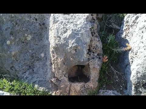 Kayada Gerçek Müjdelik Kaynıyor