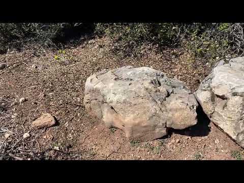 Bu Taşların Altında Ne Var