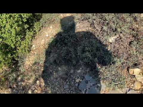 Esrarengiz Kayalardaki Gizli Sırlar