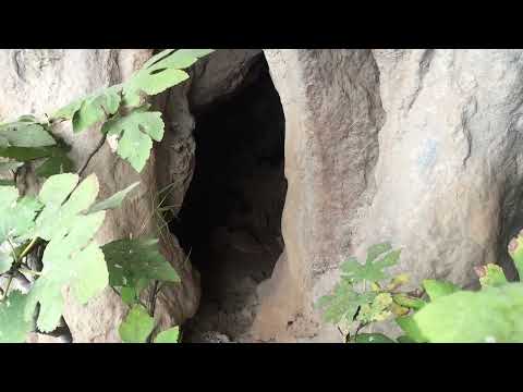 KARA YILANIN DERİN MAĞARASI