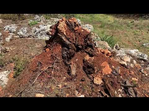 KAYALARIN ARASINDAKİ GİZEMLİ SANDUKA