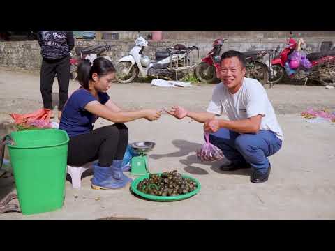Harvesting Many Giant Stone Snails in the Countryside Goes