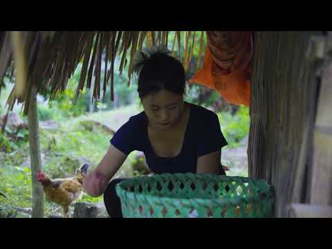 Harvesting Thousands of Giant Eggs Goes to Market Sell Wild