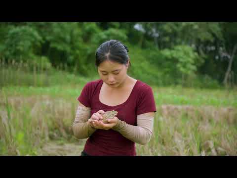 Harvesting Wild Frogs Goes to Market Sell Building a New
