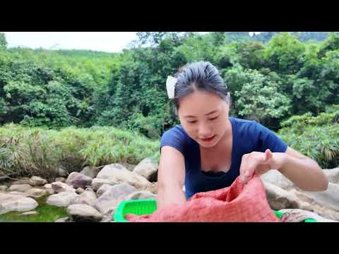 Harvesting Many Stone Softshell Turtles Goes to Market Sell