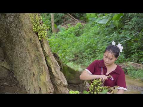 Harvesting Stone Snails Go to Market Sell Authentic