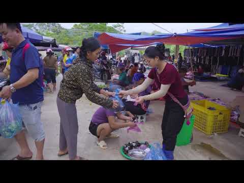 Harvesting Giant Clams from the Wild Stream in the Forest
