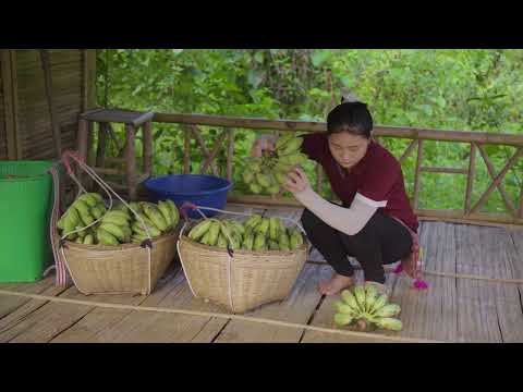 Harvesting Wild Forest Banana Bunches Goes to Market Sell