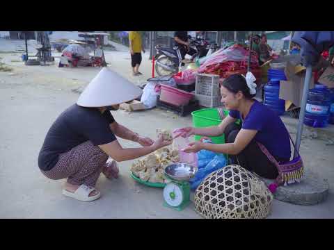Harvesting Earth Mushrooms After Rain Go to Market Sell
