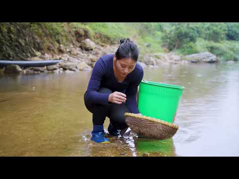 Catching Fighting Chickens on the High Mountains Goes to