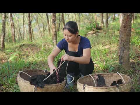 Catching Many Stone Crabs in the Fields Goes to Market Sell