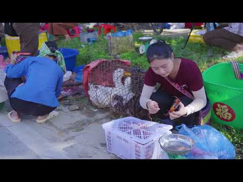 Harvesting Many Giant Stone Crabs Goes to Market Sell