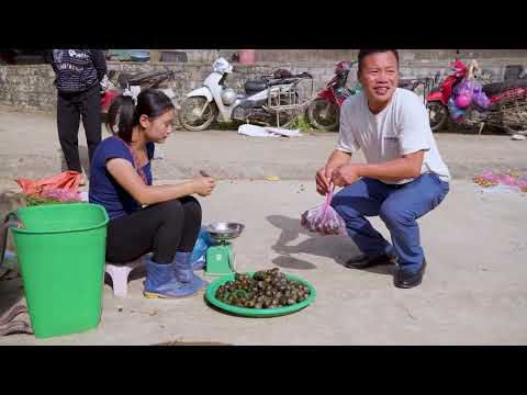 Harvesting Stone Snails in the Swamp Goes to Market Sell