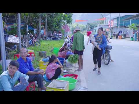 Harvesting Rock Crabs in Wild Stream Go to Market Sell