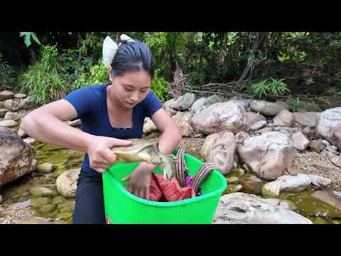 Harvesting Many Rare Tree Dwelling Stone Snails Goes to