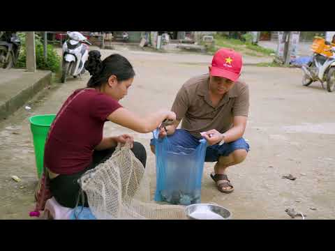 Harvest Stone Frogs Goes to Market Sell Rural Life in the
