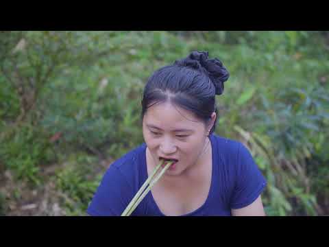 Harvesting 1001 Black Chickens From The Forest Sold Them