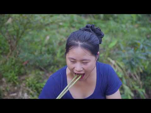 Harvesting Black Chickens Go to Market Sell Sustainable