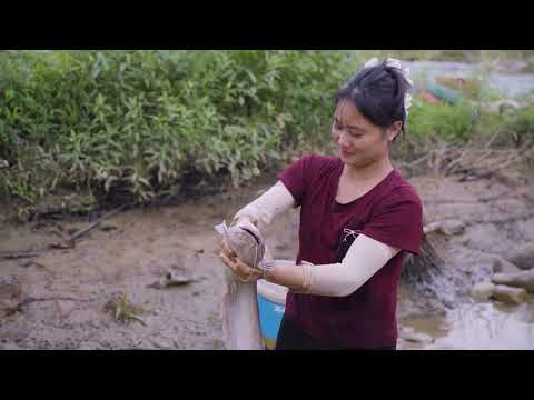 Harvesting Black Catfish and Frogs from a Remote Forest
