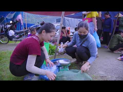 Harvesting Wild Frogs from the Forest Stream Goes to Market