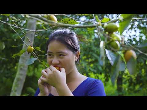 Harvesting 1000 Frogs from the Deep Forest Goes to Market