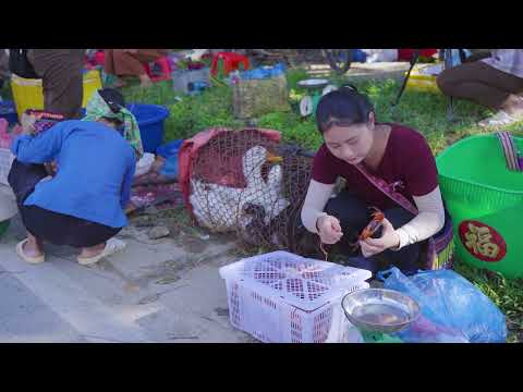 Harvesting Stone Crabs Goes to Market Sell Harvesting