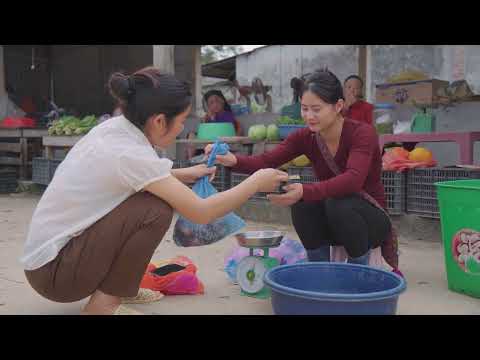Harvesting Stone Crabs in the Sacred Forest Goes to Market