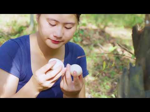 Harvesting Black Stone Snails Goes to Market Sell Daily