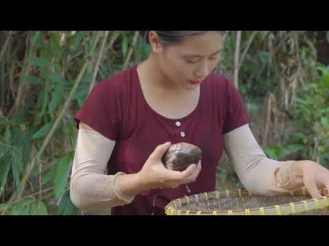 Harvesting Many Precious Pearls Goes to Market Sell Daily