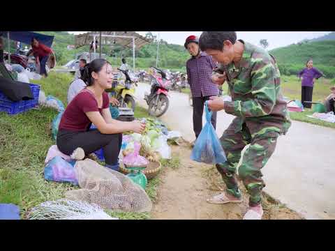 Harvesting Rare Wild Quails Goes to Market Sell Living Deep