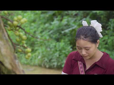 Harvesting Wild Snails from the Wild Stream Goes to Market