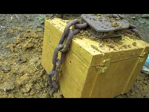 I searched for treasures in the wild and found a gold box