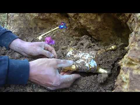 The treasure heritage of gold miners a wonderful wilderness