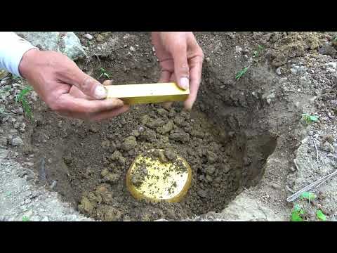 The journey of treasure hunting reveals the joy of