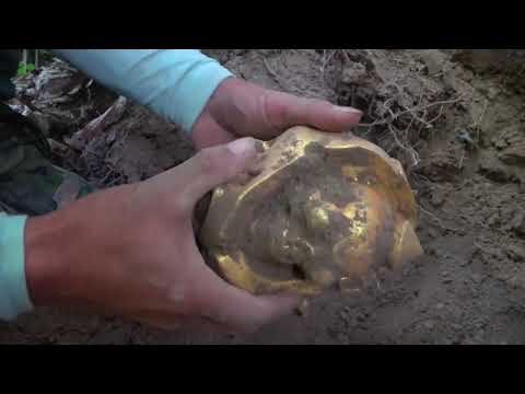 Looking for treasure near the ancient stone wall I found a