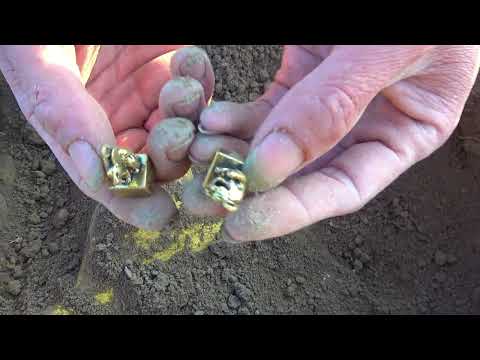 I explored the treasure outdoors and found the gold